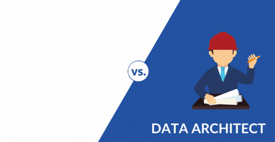 Data Engineer vs Data Architect